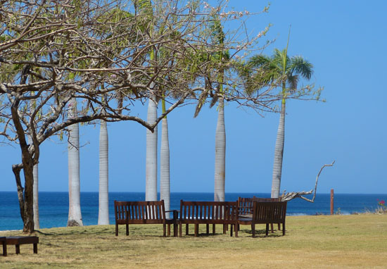 JW Marriott Guanacaste Bench