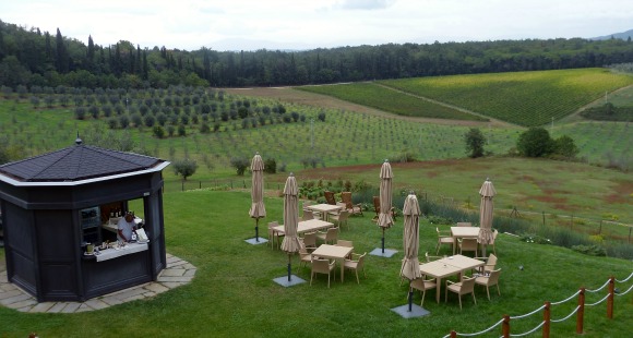 Castello del Nero: Pool Bar with View of Vineyards and Olive Trees