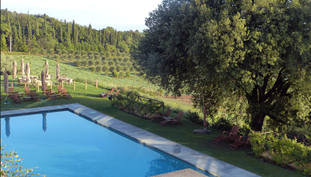 Pool overlooking olive grove