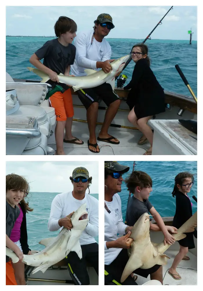 Key West Shark Fishing