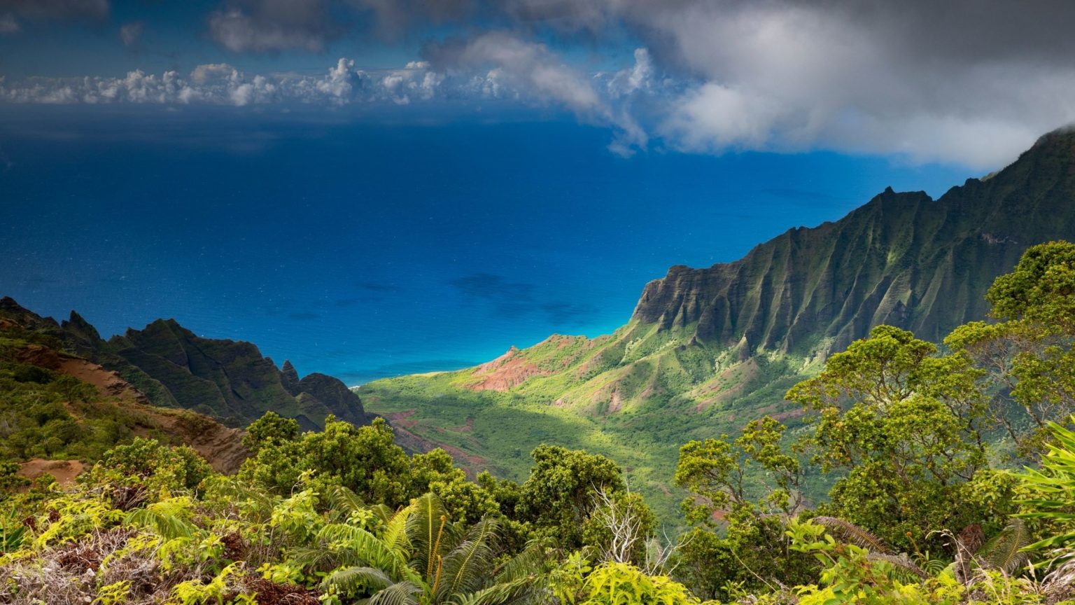 35 of the Most Popular Hawaiian Words, Phrases & Greetings