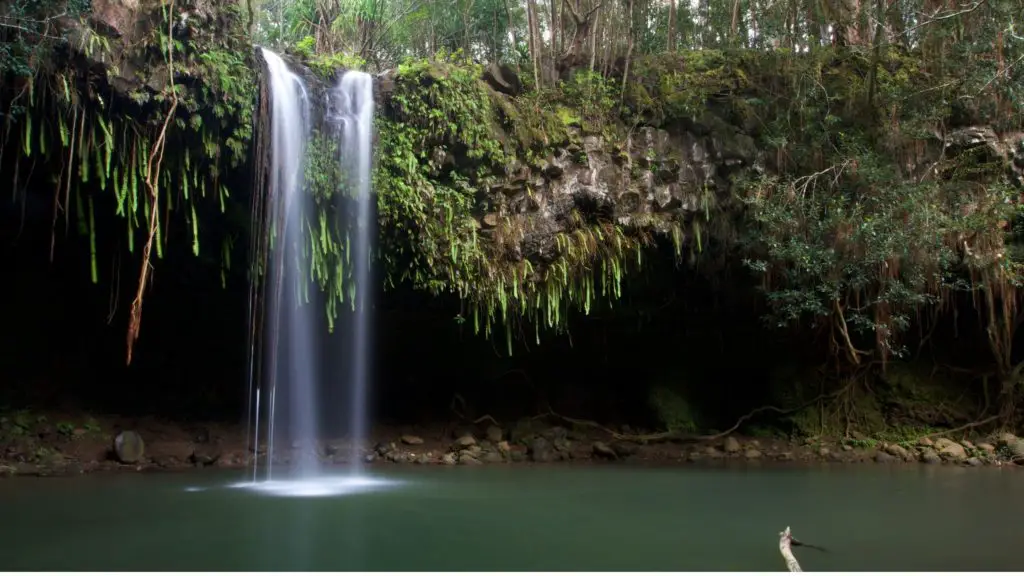 best maui waterfall twin falls