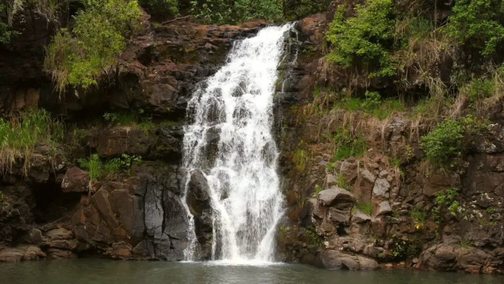 Waimea falls