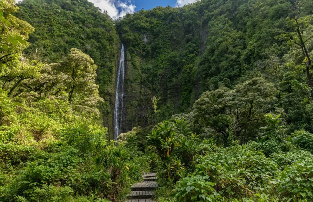 Trail to the Waimoku Falls