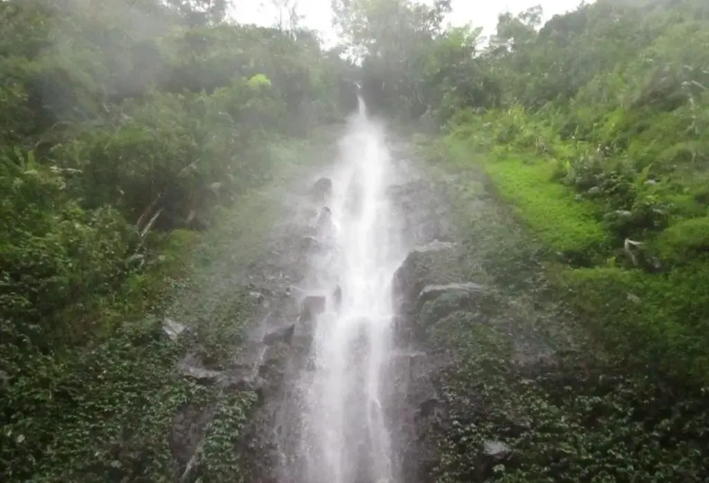 Waipuhia Falls