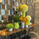 Hyatt Travel Agent Rates: How Advisors Save up to 50% at Hyatt